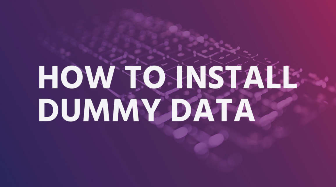 How to install dummy data